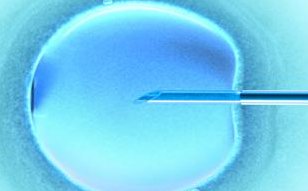 2026盛京医院无痛分娩价格、流程分享，哪个大夫厉害也有