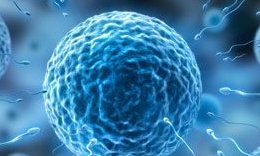 身体各方面都正常的人可以做三代试管婴儿生双胎吗？