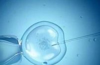 移植成功后预产期到了，教你4个快速催生的小妙招