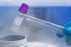 湖北地区有哪些私立的机构可以做试管技术？为什么33岁女性做二代试管连续5次未着床呢？